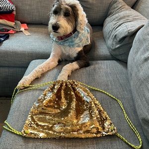 Crewcuts gold & silver backpack (dog not included)